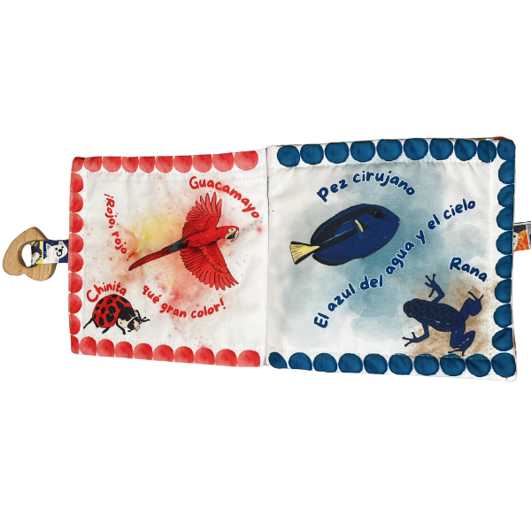 mis colores interior